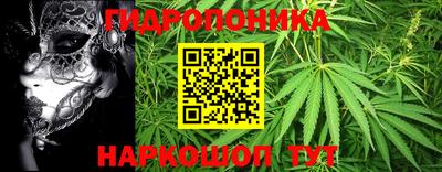 дживик Кингисепп