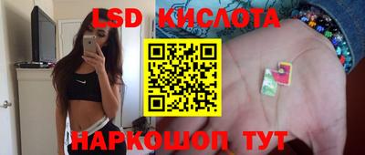 дживик Кингисепп