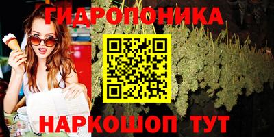 дживик Кингисепп