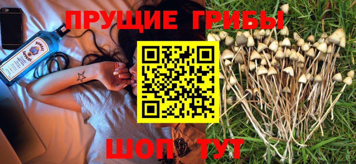 Кирово-Чепецк  Галлюциногенные грибы мухоморы  Вход с VPN 